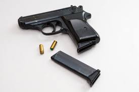 El senado aprobó una nueva ley para el uso de armas