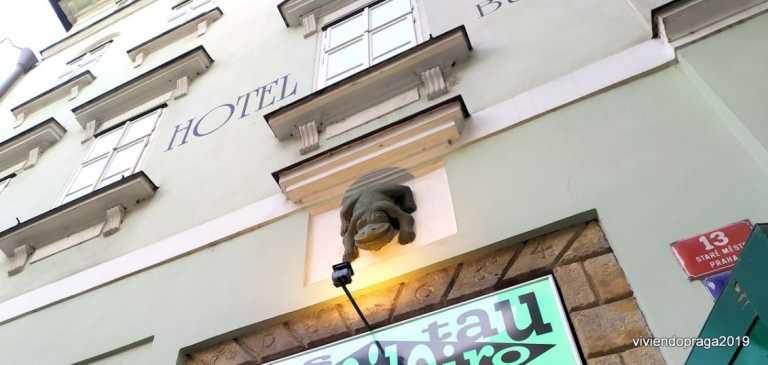 La Casa de la Rana Verde