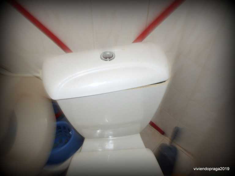 Un cóctel con cocaína, así queda el agua residual de Praga
