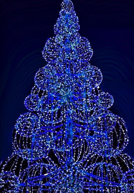 El arbolito de navidad de Praga tendrá 17,5 metros