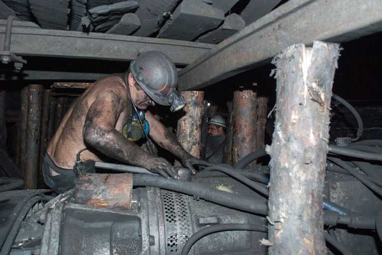 OKD reanuda sus actividades