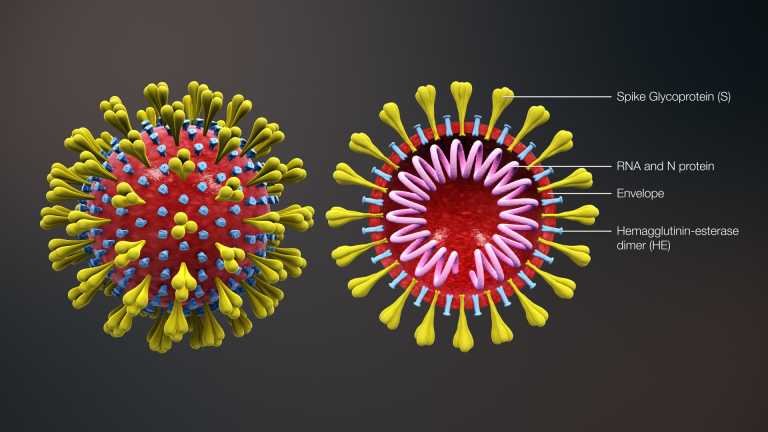 variante del coronavirus ómicron