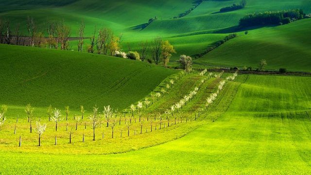 Moravia paisaje